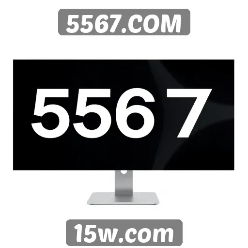 Interface do usuário e experiência no 5567.COM